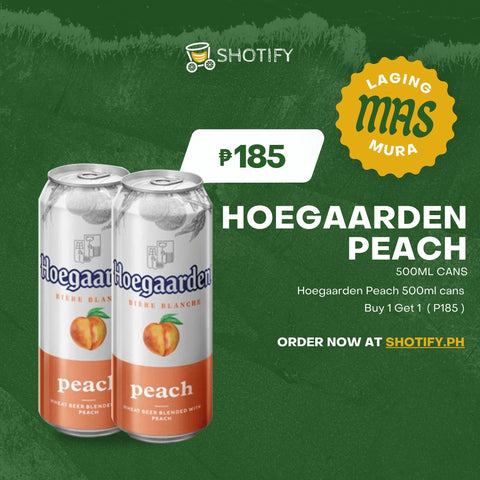 Hoegaarden Peach Can 500ml x2